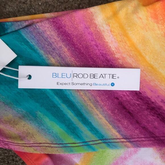 Bleu Rod Beattie NWT Multi Brushstroke Front Band Colorful Bikini Bottom Size 14 - Picture 10 of 16
